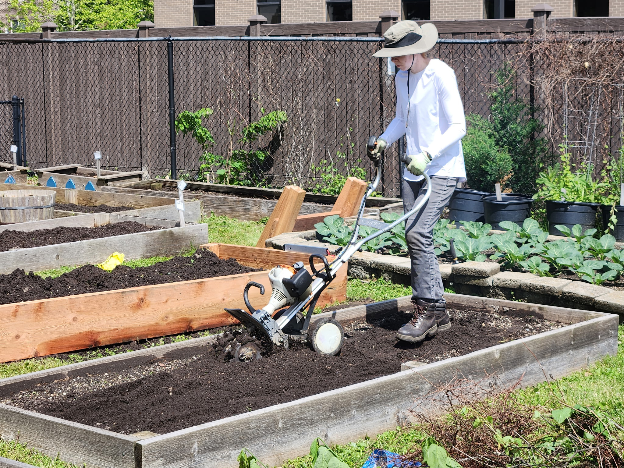 A volunteer using a tiller in the pantry garden